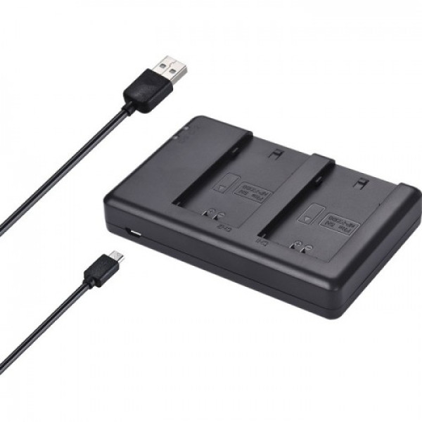 Зарядное устройство FB DC-DU-FZ100 DC dual slot charger